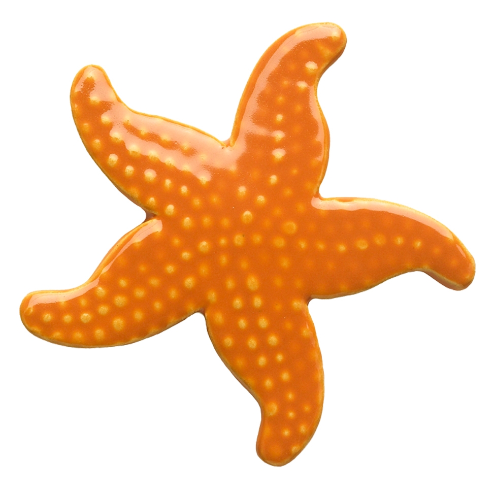 102OROrangeStarfish