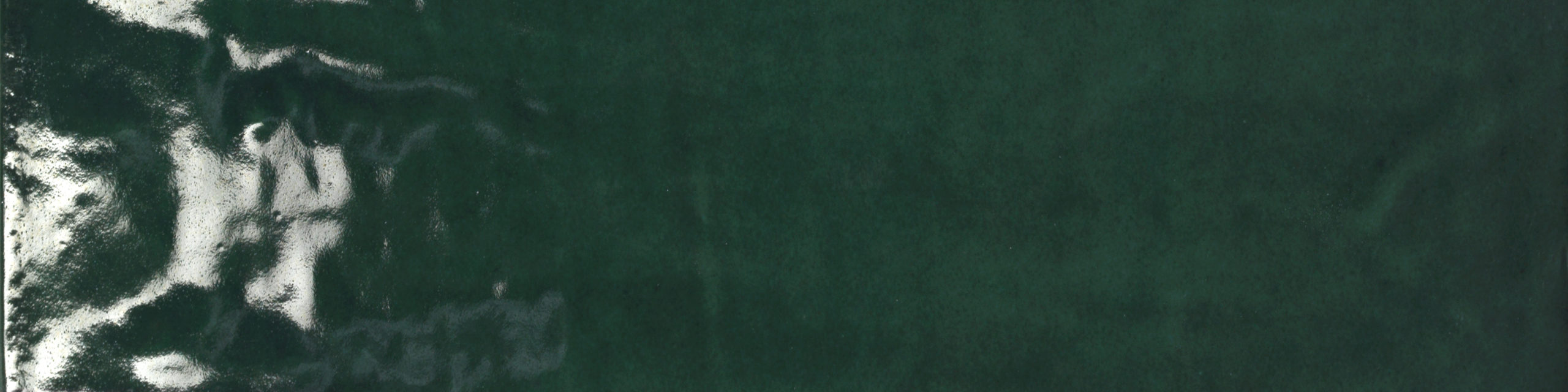 JoyfulAvocado4x16 scaled