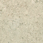 Shellstone Amber 12x24