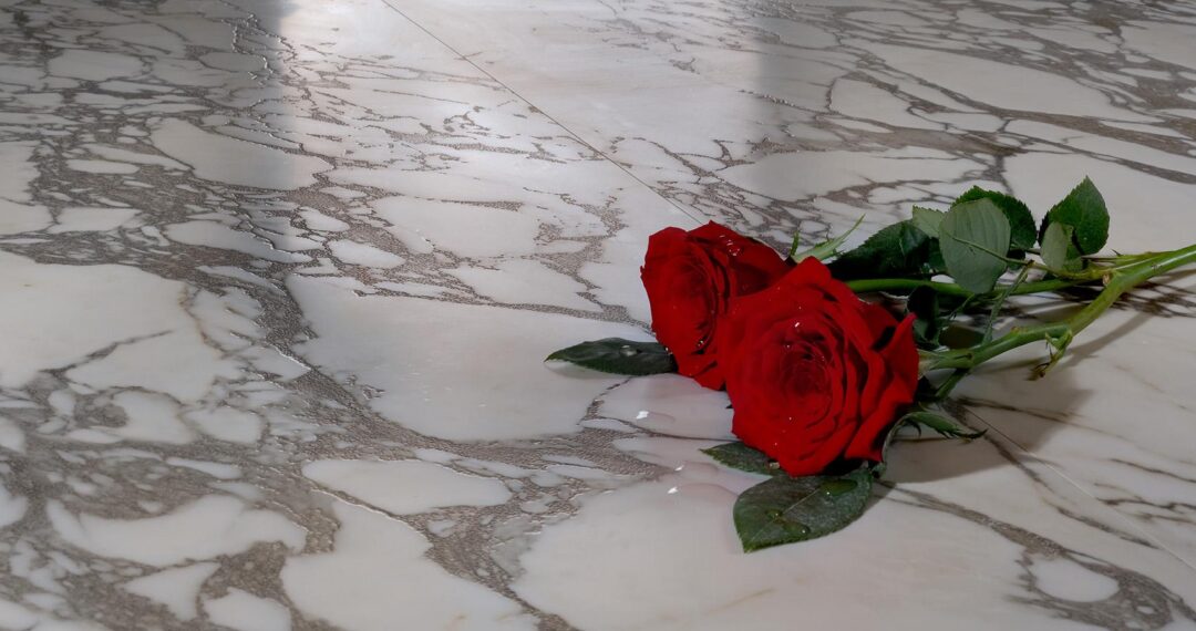 WEB_Adorare_Audrey_Bianco_Rose_DSCF0151