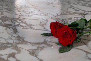 WEB_Adorare_Audrey_Bianco_Rose_DSCF0151